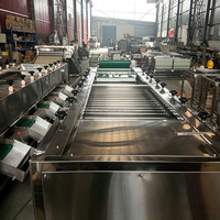 Commerciële roltype sorteermachine voor blauwe bessen, appels, citrusvruchten, hoogwaardige sorteermachine voor groenten zoals komkommer en wortel