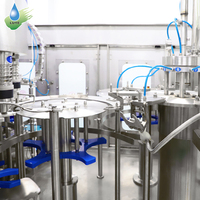 Ligne de remplissage de bouteilles de 10 litres 1000 bph, machine de mise en bouteille d'eau pour grandes bouteilles de 5L et 12L pour la production d'eau minérale pure