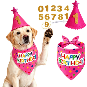 Suministros para Fiesta de Cumpleaños de Perro, Conjunto de Disfraces con Pañuelo y Sombrero de Feliz Cumpleaños para Perro, con Pegatinas de Números, Disfraz Ajustable para Mascotas, Regalo para Perros - Product Image 5