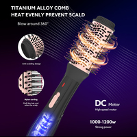 Brosse Sèche-Cheveux Professionnelle 2-en-1 avec Logo Personnalisé, Plaque Céramique, Brosse Soufflante à Air Chaud pour Usage Domestique et Hôtelier, Multi-Styler Électrique