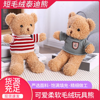 Boneka Beruang Teddy Figurine Lucu Bantal Ragdoll Hadiah Hari Valentine Bulu Pendek Isi Kapas PP 31cm-50cm 14 Tahun ke Atas Grosir