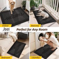 Tapis d'entrée antidérapants à profil bas Tapis de porte de bienvenue pour trappeur de saleté absorbant intérieur lavable pour porte arrière avant