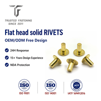 Rivets plats en laiton TianFang pour garnitures de vêtements, finition nickelée, tailles personnalisées avec support d'échantillonnage rapide