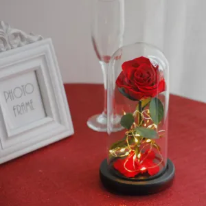 2023 New Handmade Preserved Rose Flower in Glass Dome - Perfect Valentine's Day and Mother's Day Present