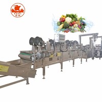Industriële Fruit Groente Ontwatering Machine En Drogers Stomerij Machines Productielijn