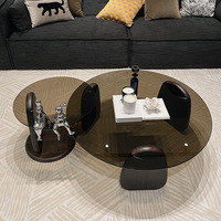 Table basse en verre trempé moderne et créative Modhomi, ensemble de tables d'appoint de luxe pour petit salon ou canapé