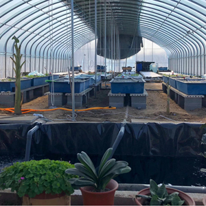 Serre agricole professionnelle à faible coût - Product Image 5