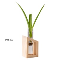 Vase en verre transparent simple pour culture hydroponique d'intérieur, idéal pour le salon