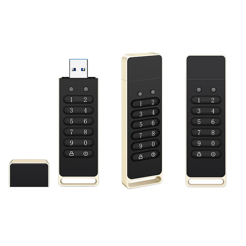 Goldenfir encrypted USB 3.0 8GB 32GB 64GB 128GB 256GB, digitally encrypted USB flash drive, secure and reliable