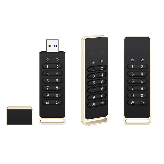 Goldenfir Encrypted USB 3.0 8GB 32GB 64GB 128GB 256GB, Digitally Encrypted USB Flash Drive, Secure and Reliable