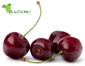 Supply Free Sample /High Quality Asiatic Cornelian Cherry Fruit Extract