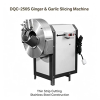 Industriële gember snij- en raspmachine DQC-250S voor het verwerken van knolgroenten in voedingsmiddelenindustrieën