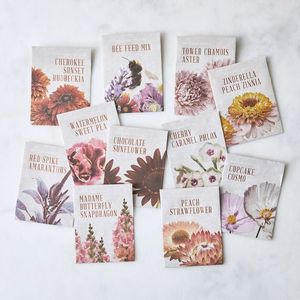 Impression en couleur de petits paquets de graines de plantes en papier kraft blanc amical emballage de graines de légumes d'herbes Enveploe - Product Image 1