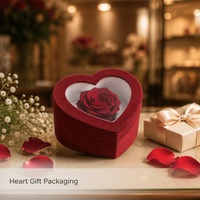 Boîte cadeau rigide personnalisée pour la Saint-Valentin, avec couvercle et base en velours en forme de cœur et fenêtre transparente, vente en gros directe d'usine