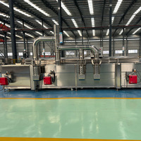 Automatische Industriële Fruitgroente Reinigingsproductielijn Voor Sojabonenmeel Maïsnoot Waskern Motorpomplager