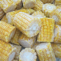 BRC HACCP Certifié IQF Cobbettes de maïs sucré surgelé blanchies