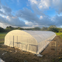 Serre agricole tunnel à simple travée de grande taille de la marque Bafangle avec système hydroponique et structure en acier galvanisé