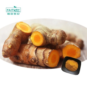 مصنع بالجملة التوابل الطبيعية الأرضية الجذر وباروكة مسحوق الكركم - Product Image 1