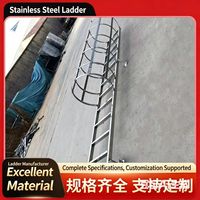 Échelle de cage en acier inoxydable/galvanisé pour mur extérieur et fosse de fondation, tube carré, tunnel droit, puits profond, fabriqué en Chine (CN)
