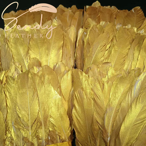 <span class=keywords><strong>Ali</strong></span> d'<span class=keywords><strong>Angelo</strong></span> in <span class=keywords><strong>Piume</strong></span> d'Oca Dorate, Frange e Bordi in Pizzo Personalizzabili, per Costumi di Carnevale, Spettacoli di Danza e Festival - Product Image 4