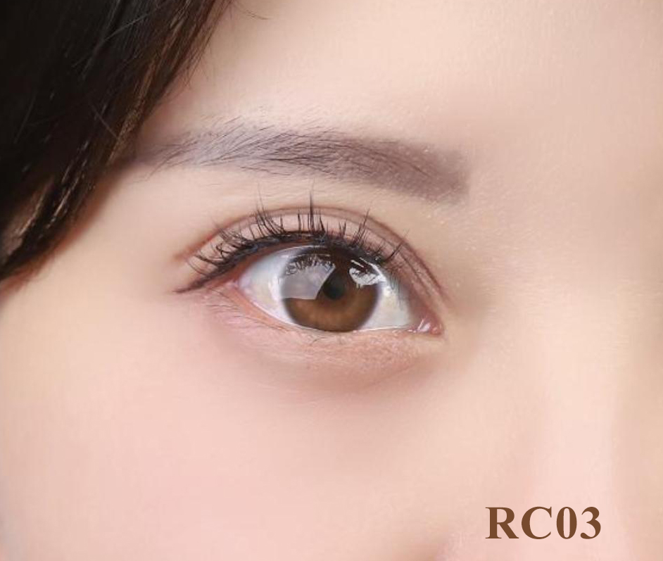 RC03.1