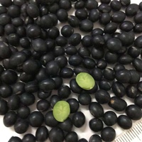 Meilleure vente Haricots noirs de qualité supérieure Graines de soja noir de Chine à vendre
