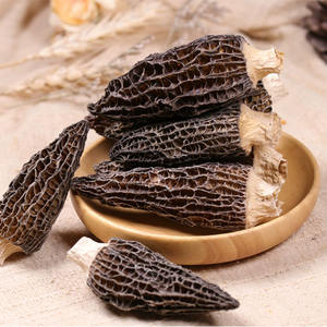 Spugnola essiccata fungo di alta qualità 100% naturale di lunga durata spugnole secche a basso prezzo all'ingrosso Premium di qualità - Product Image 2