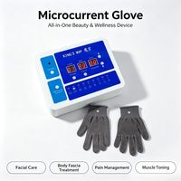 Gant à microcourant bioélectrique conducteur pour le décongestionnement, la relaxation des fascias, le tonification corporelle et le drainage lymphatique – Équipement professionnel et domestique