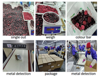 BRC/HACCP/HALAL fournisseur en vrac IQF mélangé marok baies surgelées fruits pas cher prix Australie fabricant