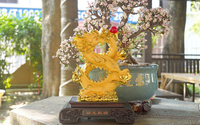 Statue de dragon chinois traditionnel en résine Feng Shui, sculpture décorative pour la maison, statue de dragon chinois porte-bonheur dorée