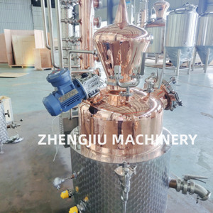 Destilador ZJ de <span class=keywords><strong>dos</strong></span> ollas de cobre de 300L, olla de lavado, equipo de destilación de <span class=keywords><strong>whisky</strong></span> de malta única, destilería de licores - Product Image 6