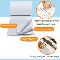 Papier Thermique en Rouleau Jumbo pour Caisse Enregistreuse, Billets de Queue et Reçus, Dimensions 80x80mm, 57x40mm, 3 1/8 X 119, 3 1/8 X 230, 80mm