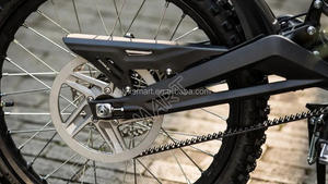 Pour Light Bee X Kits de ceinture engrenages pièces carbone portes ceinture entraînement secondaire électrique Dirt Bike accessoires - Product Image 4