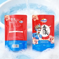 Sachet Doypack Personnalisé Imprimé Refermable en Plastique Thermoscellable sur Mesure pour Lessive Liquide