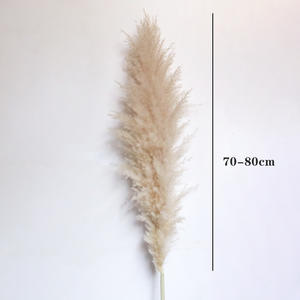 Erba di pampa di Champagne artificiale di vendita calda della decorazione del fiore secco con il vaso - Product Image 6