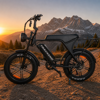 Vélo Électrique V8 YL-81F avec Affichage, Moteur Arrière 750W, Ebike, Entrepôt Outre-mer Canada Allemagne Pologne, Faible Coût d'Expédition, Conception Personnalisée