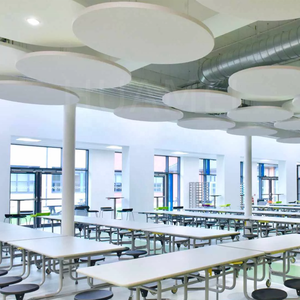 <span class=keywords><strong>Plafond</strong></span> suspendu <span class=keywords><strong>acoustique</strong></span> en fibre de verre High-NRC 0.9 avec absorption <span class=keywords><strong>acoustique</strong></span> dynamique à fréquence spécifique pour les zones commerciales ouvertes - Product Image 5