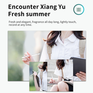 Bán Chạy Nhất Cảm Ứng Bút Chì Đĩa Khuếch Tán Hương Thơm Miễn Phí 1 Đĩa Dự Phòng Bút Tip Hoạt Động Stylus Pen Bán Chạy Nhất Nhà Sản Xuất - Product Image 3