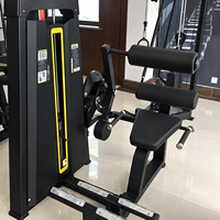 Machine d'extension dorsale assise SK Commercial Gym pour l'entraînement du bas du dos – Équipement de musculation en gros pour les acheteurs de projets de salles de sport