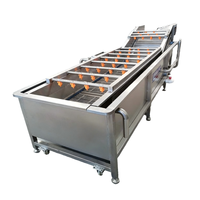 Draagbare wollenrol fruit- en groentewasmachine met transportband voor het wassen van gember en fruit.
