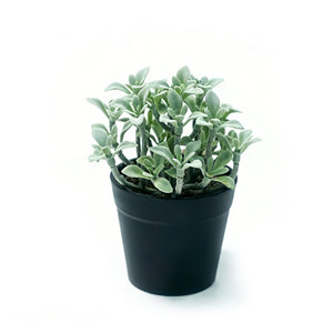 ต้นไม้ประดิษฐ์กำมะหยี่เลียนแบบต้นคาลันโช ต้นแพนด้าเคลือบกำมะหยี่ในกระถางพลาสติก สำหรับตกแต่งบ้าน สวน และภูมิทัศน์ - Product Image 1