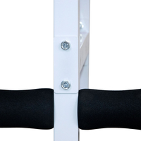 Machine d'extension de dossier de chaise romaine ZYFIT-Banc d'hyperextension du bas du dos-Équipement d'exercice réglable pour la salle de sport à domicile
