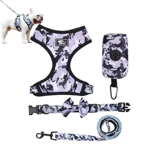 Conjunto de Arnés y Correa para Cachorros S'JOY, Personalizado al por Mayor, Bonito, Transpirable, Duradero, con Hebilla Reflectante, Material de Poliéster - Product Image 3