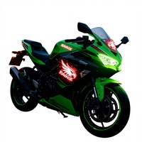 Autocollant EL pour moto 12V avec un éclat spectaculaire qui attire l'attention en quelques secondes. Parfait pour la conduite nocturne. Laissez votre vélo être l'étoile