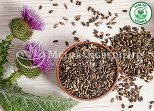 Extracto de Cardo Mariano, Suplemento Herbal Natural para el Apoyo del Hígado, Desintoxicación, Antioxidante, Bienestar y Nutrición Diaria, a Base de Plantas - Product Image 2