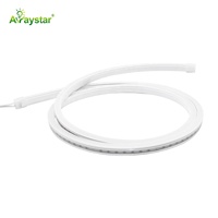 Nouveau Néon LED Ultra Mince 5*8mm Étanche IP67 avec Silicone Noir à Découper Librement pour Éclairage Paysager et d'Armoire