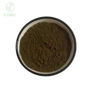 Ekstrak Chaga ekstrak Jamur Chaga ekstrak Jamur chaga