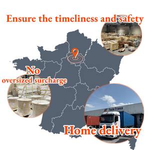 Воздушно-транспортный агент от двери до двери услуги DDP DHL UPS <span class=keywords><strong>FEDEX</strong></span>, тарифы на авиаперевозки во Францию, экспедитор, Китай, экспресс-доставка - Product Image 3