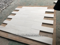 Carrelage de sol en marbre Bianco Dolomite turc Elba Super White Dolomiti Marmo 4x12, plans de travail préfabriqués pour hôtel