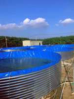 Équipement d'aquaculture Ras System, réservoirs à poissons en fer galvanisé et toile écologiques de 4 m de diamètre pour l'élevage de tilapias du Nil en extérieur